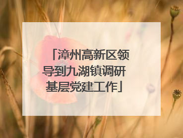 漳州高新区领导到九湖镇调研基层党建工作